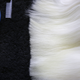 A maltese’s mane